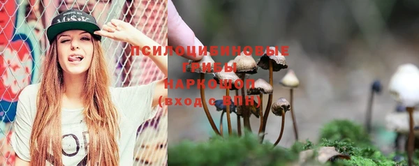 крисы Киренск