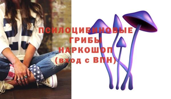 прущая мука Кинешма
