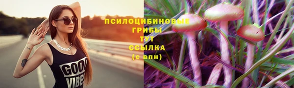 гашик Киреевск