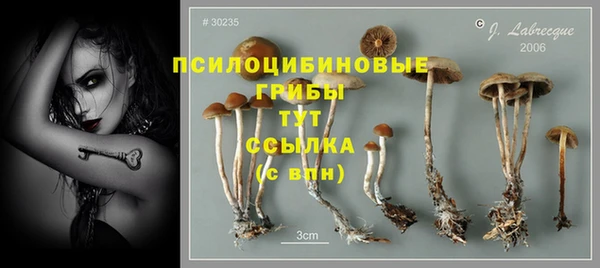гашик Киреевск