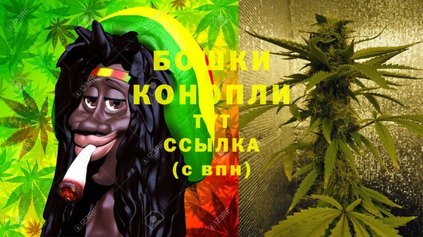 крисы Киренск